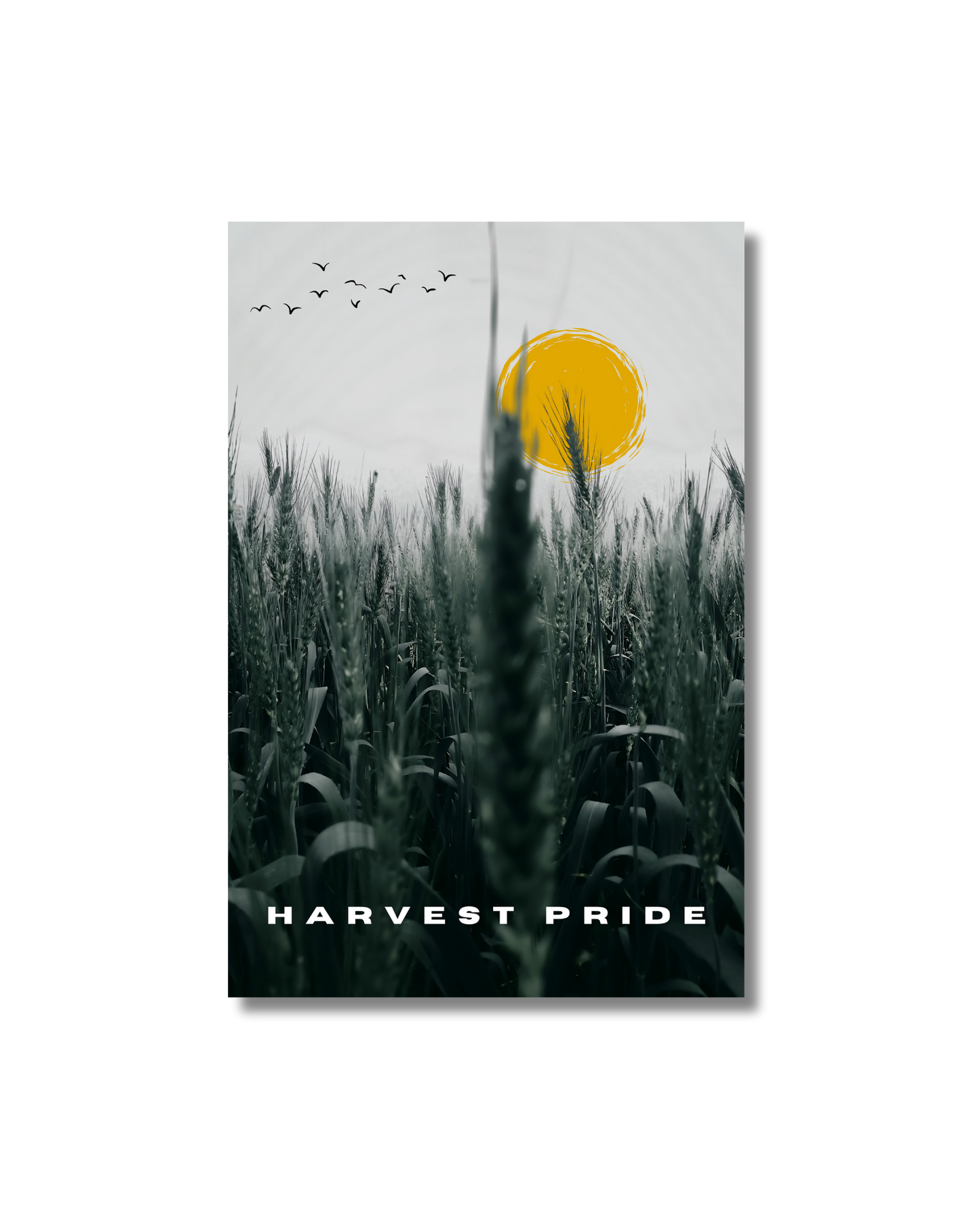 Harvest Pride